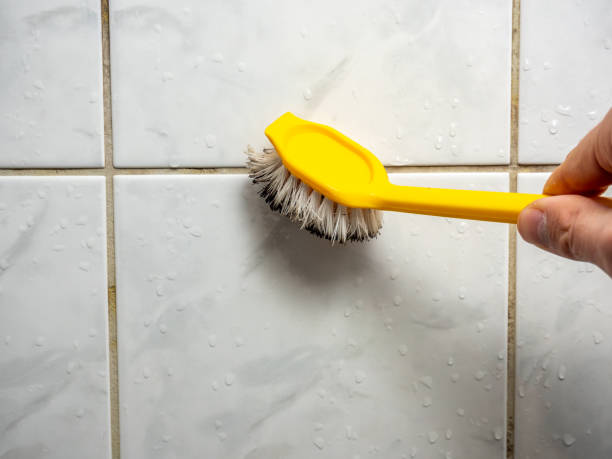 Best Insurance-Related Mold Remediation in Zephyrhills North, FL